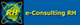 E-CONSULTING RH